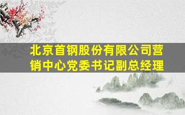 北京首钢股份有限公司营销中心党委书记副总经理