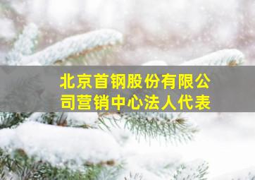 北京首钢股份有限公司营销中心法人代表