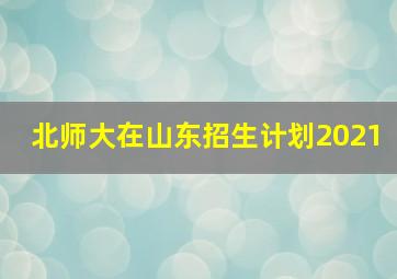 北师大在山东招生计划2021