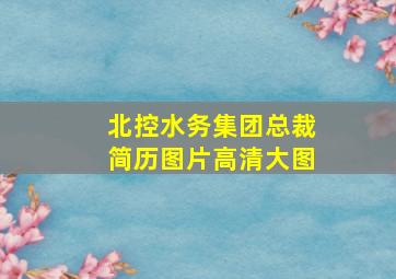 北控水务集团总裁简历图片高清大图