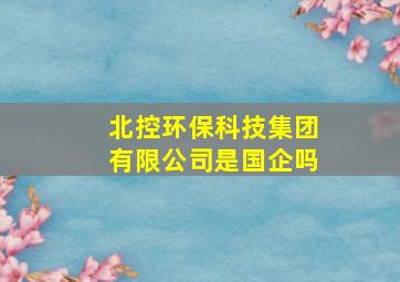 北控环保科技集团有限公司是国企吗