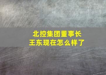 北控集团董事长王东现在怎么样了