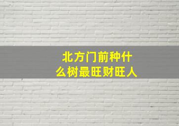 北方门前种什么树最旺财旺人