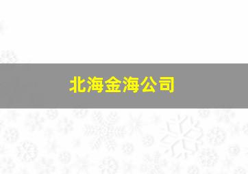 北海金海公司