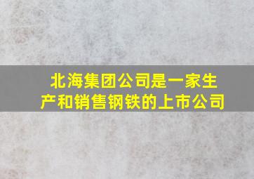 北海集团公司是一家生产和销售钢铁的上市公司