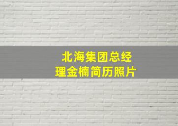 北海集团总经理金楠简历照片