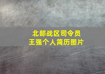 北部战区司令员王强个人简历图片