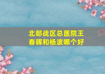 北部战区总医院王春晖和杨波哪个好