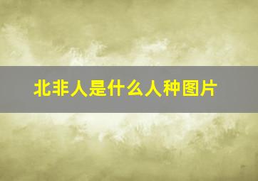 北非人是什么人种图片