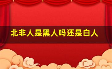 北非人是黑人吗还是白人