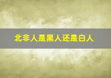 北非人是黑人还是白人