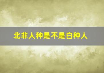 北非人种是不是白种人