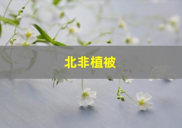 北非植被