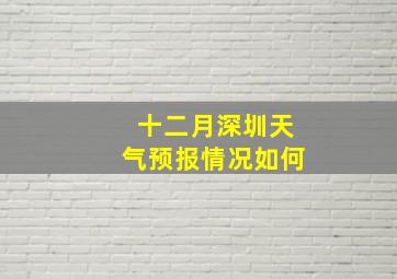 十二月深圳天气预报情况如何