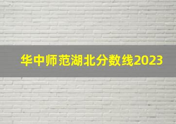 华中师范湖北分数线2023