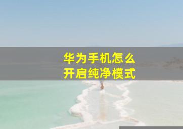 华为手机怎么开启纯净模式