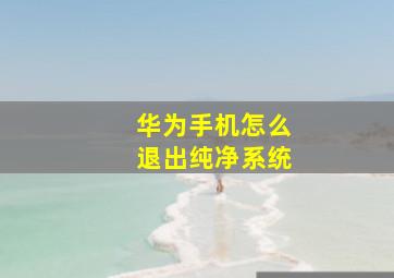 华为手机怎么退出纯净系统