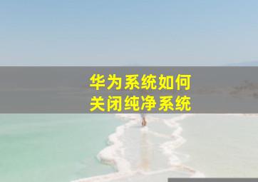 华为系统如何关闭纯净系统