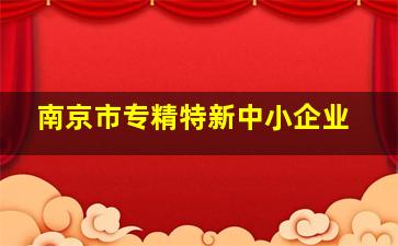 南京市专精特新中小企业