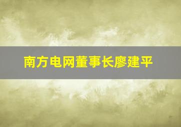 南方电网董事长廖建平