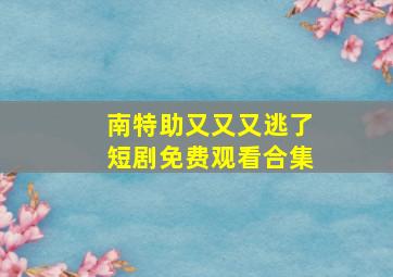 南特助又又又逃了短剧免费观看合集