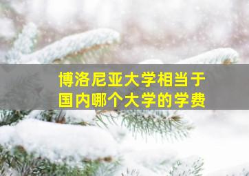 博洛尼亚大学相当于国内哪个大学的学费