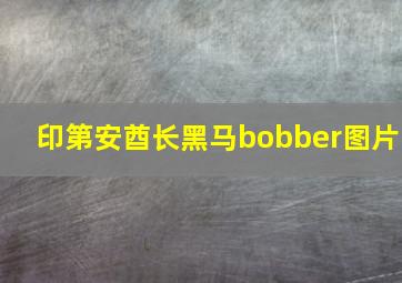 印第安酋长黑马bobber图片