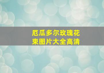 厄瓜多尔玫瑰花束图片大全高清