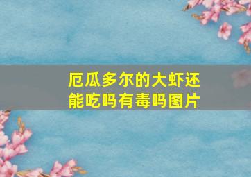 厄瓜多尔的大虾还能吃吗有毒吗图片