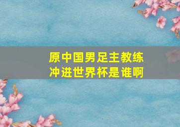 原中国男足主教练冲进世界杯是谁啊