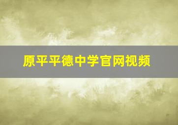 原平平德中学官网视频