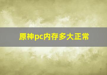 原神pc内存多大正常