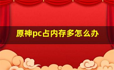 原神pc占内存多怎么办