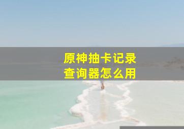 原神抽卡记录查询器怎么用