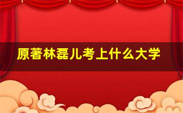 原著林磊儿考上什么大学