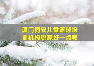 厦门同安儿童篮球培训机构哪家好一点呢