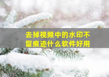 去掉视频中的水印不留痕迹什么软件好用