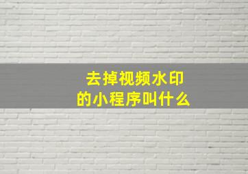 去掉视频水印的小程序叫什么