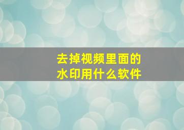 去掉视频里面的水印用什么软件