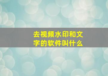 去视频水印和文字的软件叫什么