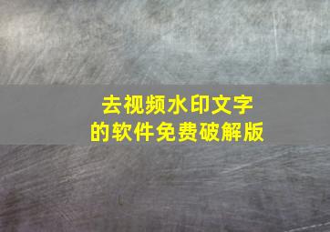 去视频水印文字的软件免费破解版