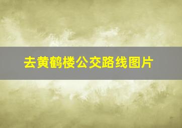 去黄鹤楼公交路线图片