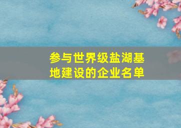 参与世界级盐湖基地建设的企业名单