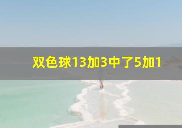 双色球13加3中了5加1