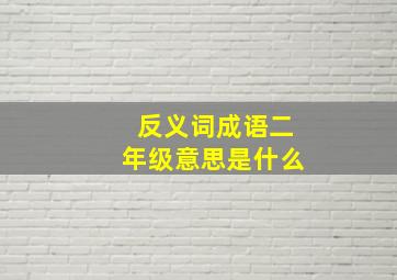 反义词成语二年级意思是什么