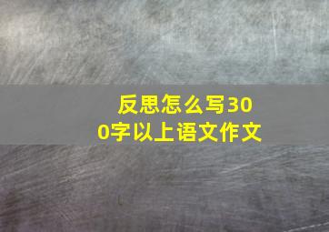 反思怎么写300字以上语文作文