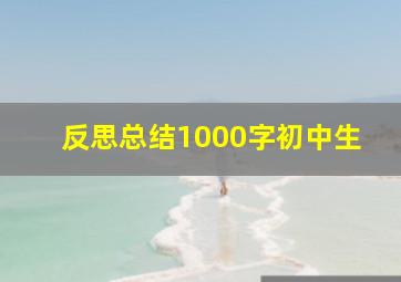 反思总结1000字初中生