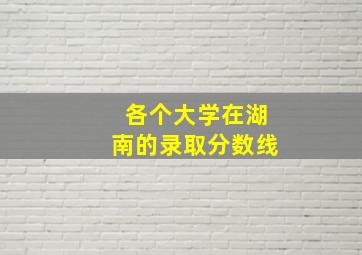 各个大学在湖南的录取分数线