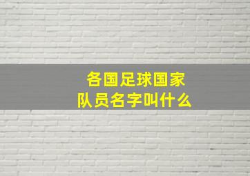 各国足球国家队员名字叫什么