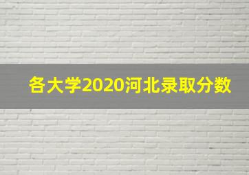 各大学2020河北录取分数